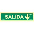 SEÑAL SALIDA CON FLECHA HACIA ABAJO